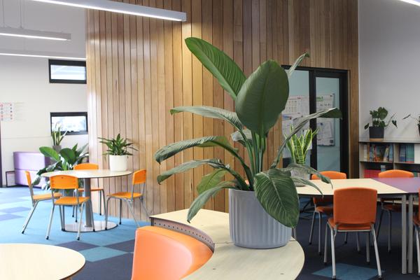 Wellbeing Corner Banner Photo