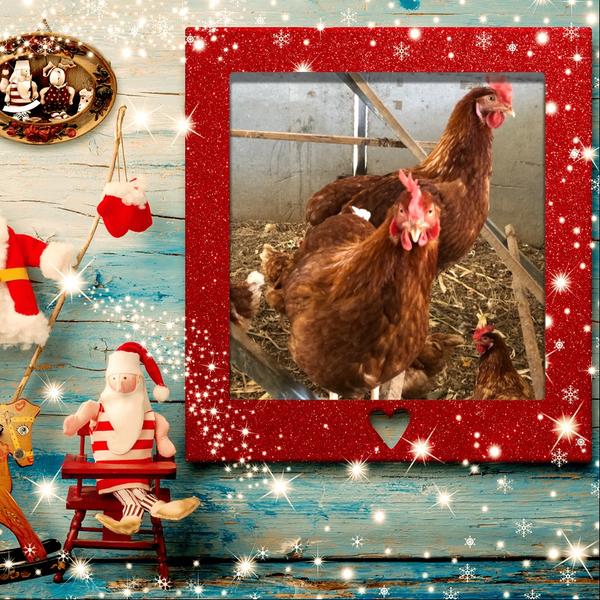 Class  Banner Photo