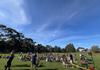 Cross Country Banner Photo