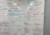 Year 12 Pyschology Banner Photo