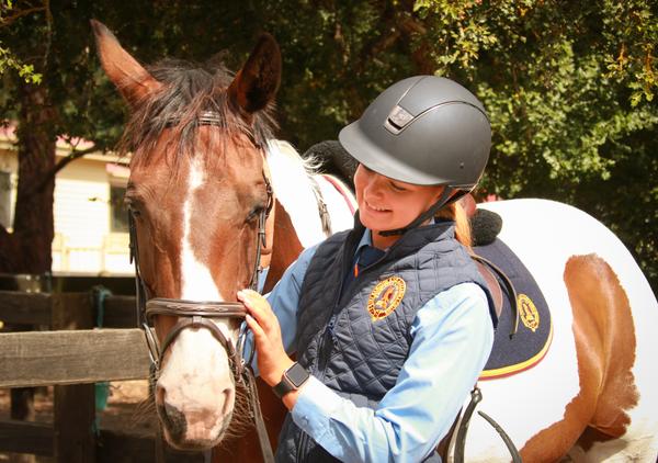 Equestrian Banner Photo