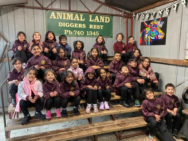 Foundation: Animal Land Excursion Banner Photo