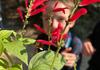 Food Tech and Kitchen Garden Banner Photo