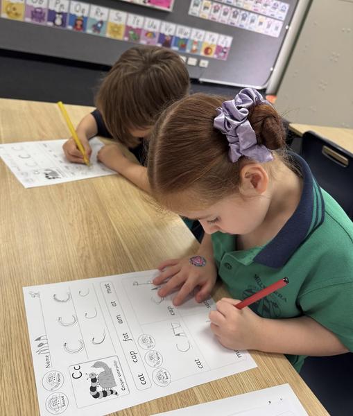 Warburton East Juniors Banner Photo