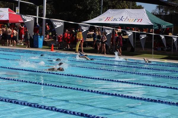 House Swimming Carnival Banner Photo