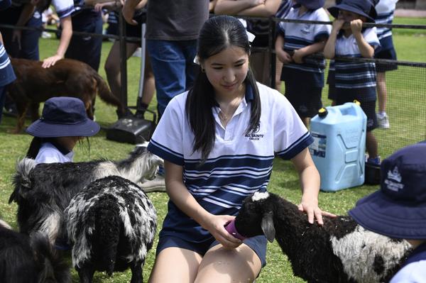 Wellbeing Space Banner Photo