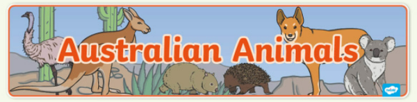 Connect: Year 1 Banner Photo