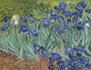 Visual Arts Banner Photo