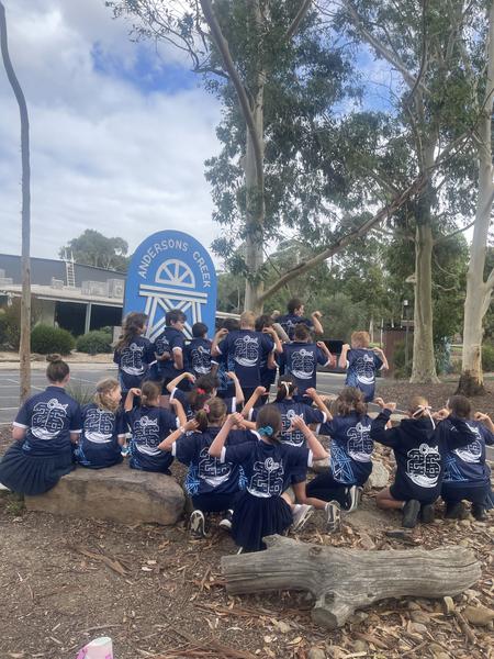 Grade 5 and 6 Banner Photo