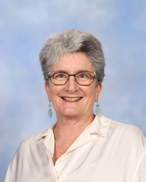 Library Banner Photo