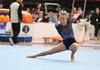 Gymnastics State Team Banner Photo