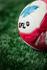 Physical Education Banner Photo