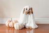 Monster Mash Banner Photo