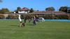 Year 8 Day  Banner Photo