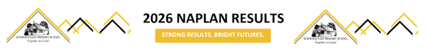 NAPLAN Banner Photo