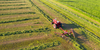Agriculture Banner Photo