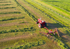 Agriculture Banner Photo