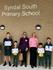 Terrific Kids Term 3 Banner Photo