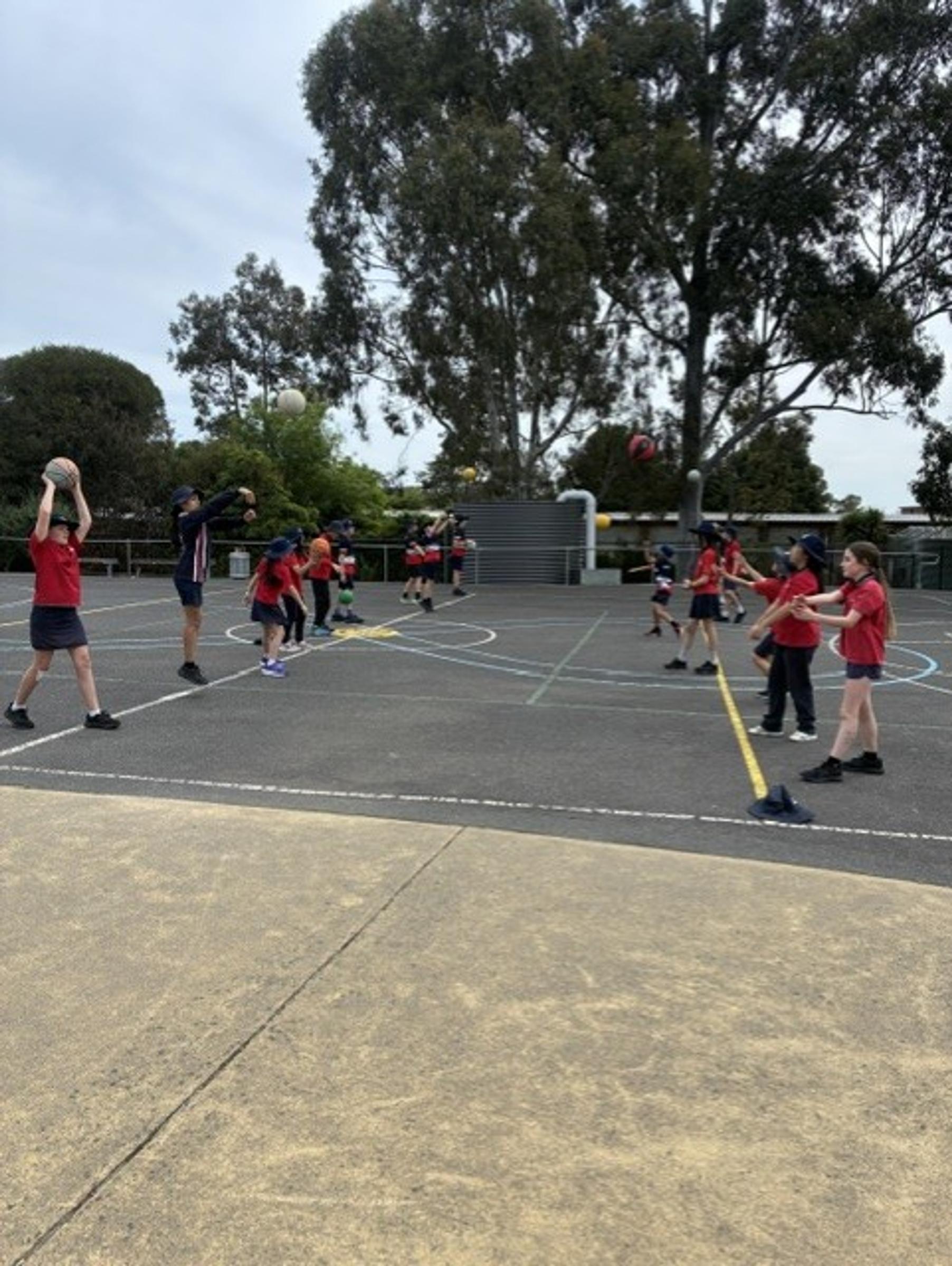 What's On In PE Banner Photo