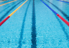 Swimming Carnival Banner Photo
