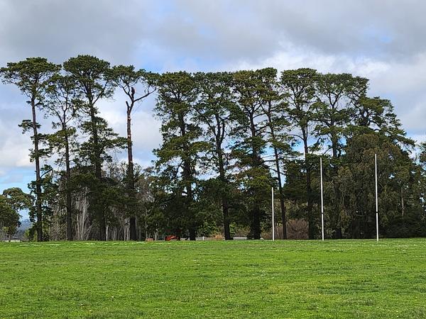 Year 10 News   Banner Photo