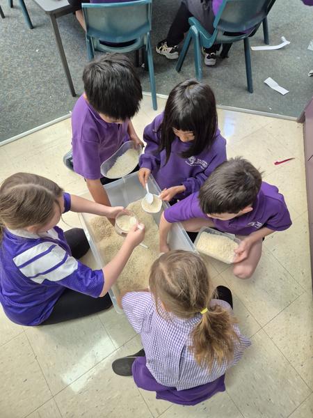 Year 1 & 2 Banner Photo