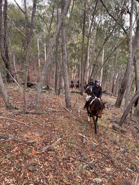 Principal  Banner Photo