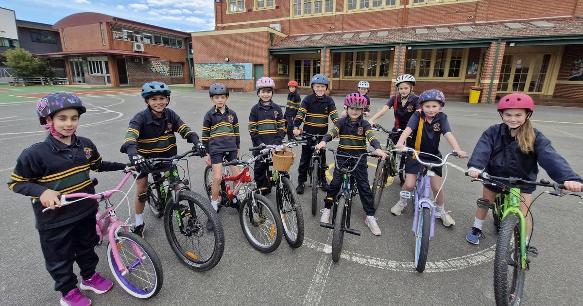 St Patrick s Mentone Newsletter Issue 22 st-patrick-s-mentone-newsletter-issue-22