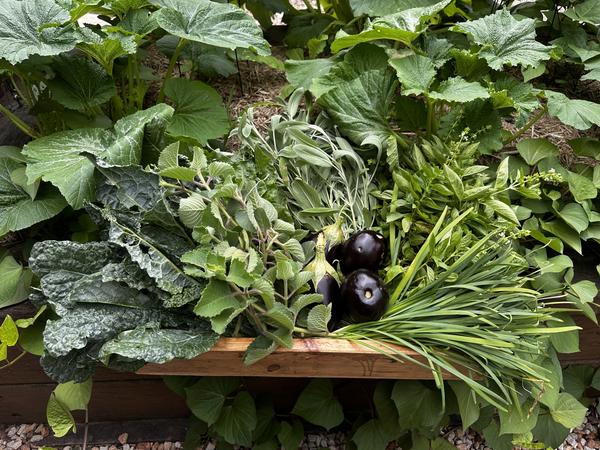 In the Garden Banner Photo