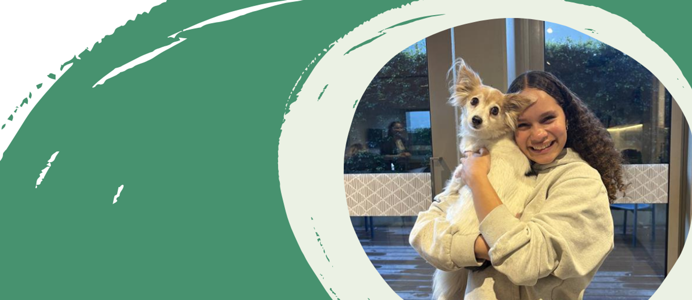 Banner Photo