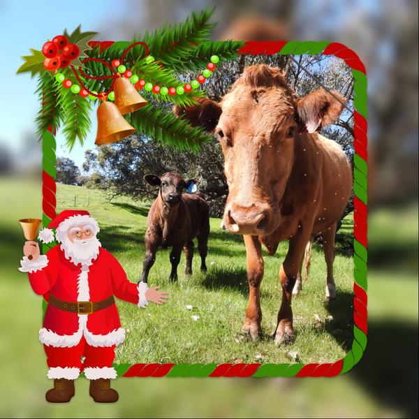 Vice Principal Banner Photo