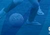 Football Victoria Banner Photo