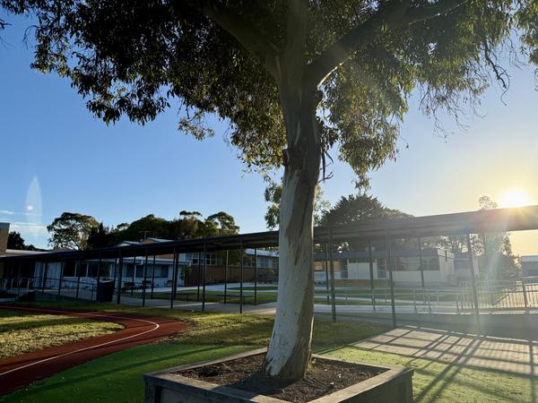 School Office Banner Photo