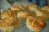 Food Technology Banner Photo