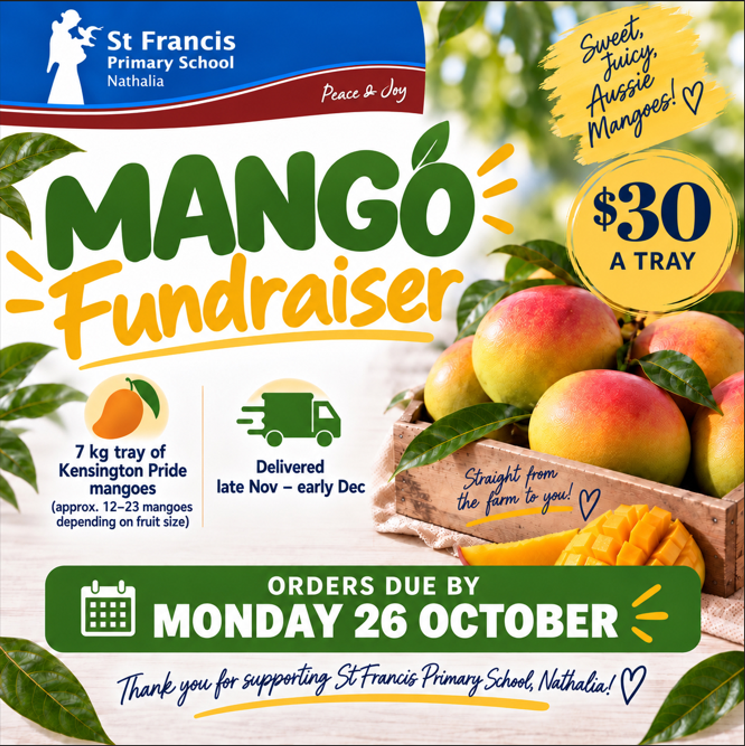 P&F Mango Drive Banner Photo