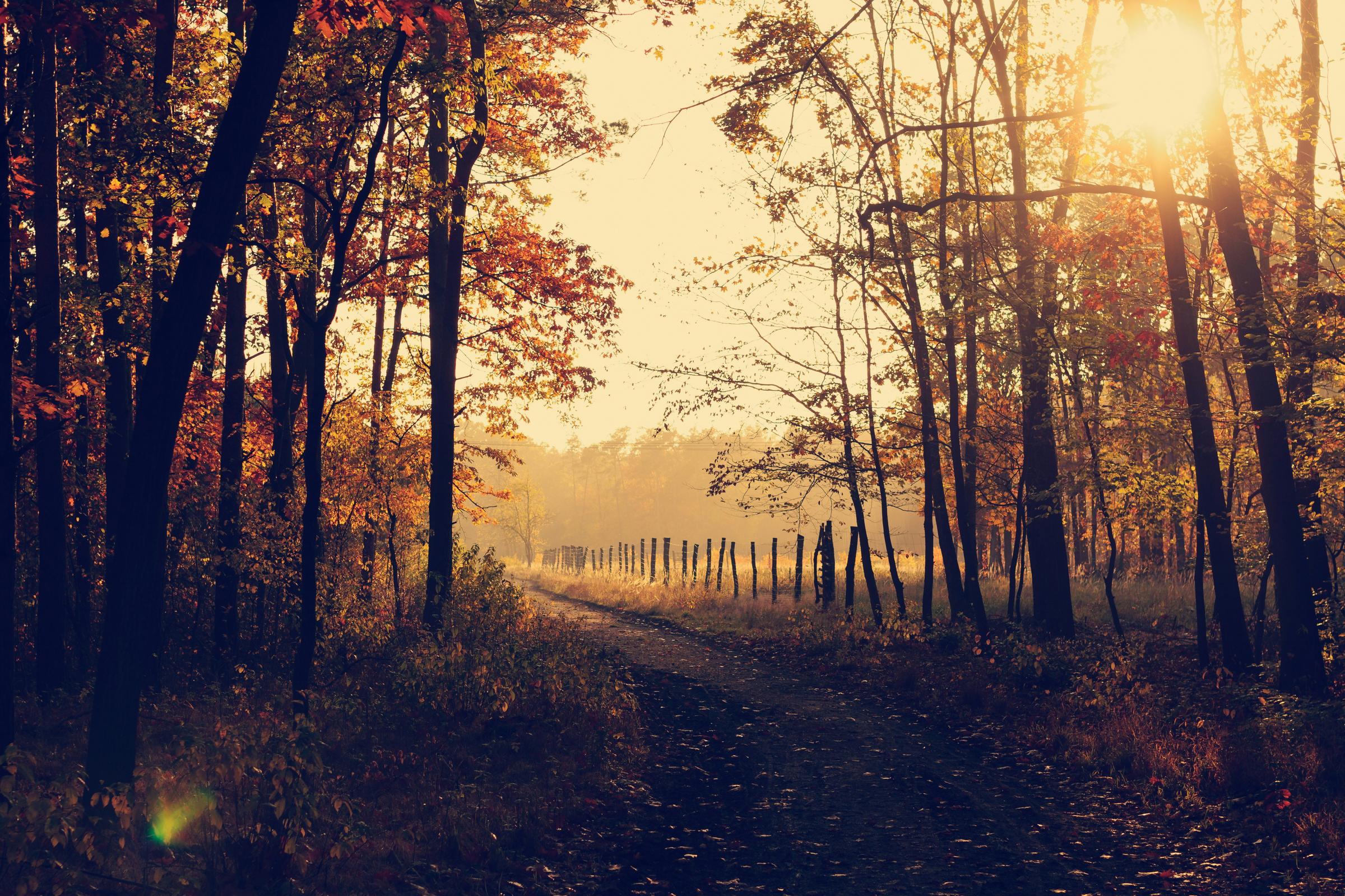 Banner Photo