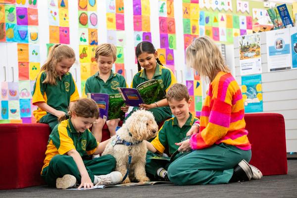 Inclusion News Banner Photo