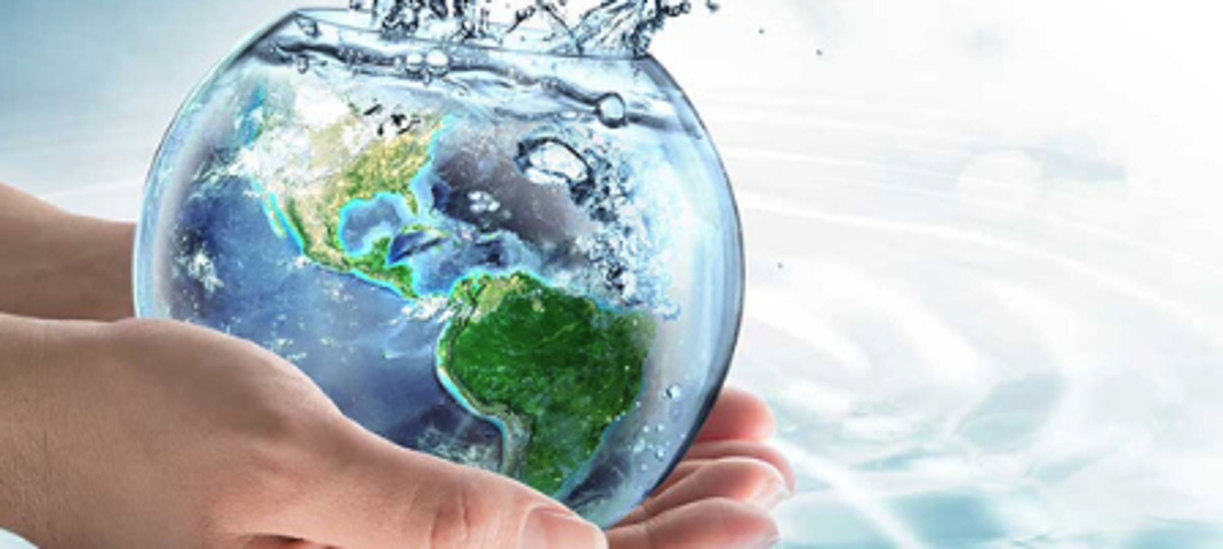 Sustainability Banner Photo