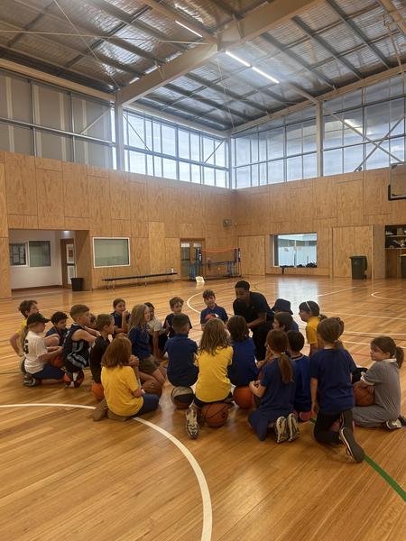 Newlands Basketball Club Banner Photo