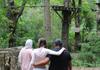 Treetop Adventures Banner Photo