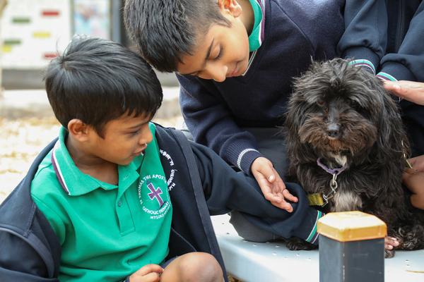 What is Child Safety? Banner Photo