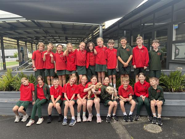 Year 4 News  Banner Photo