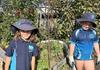 Kitchen Garden Banner Photo