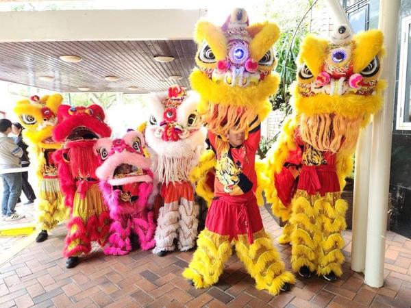 Lion Dance Banner Photo