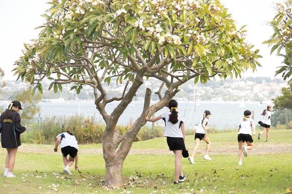 Head of Boarding  Banner Photo