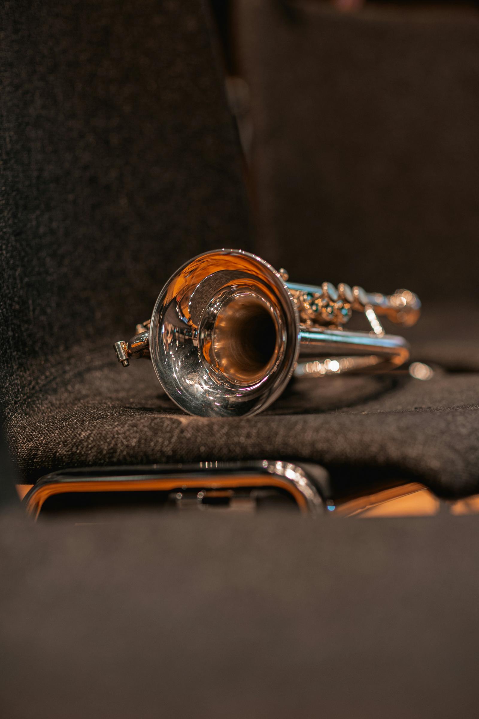 Banner Photo