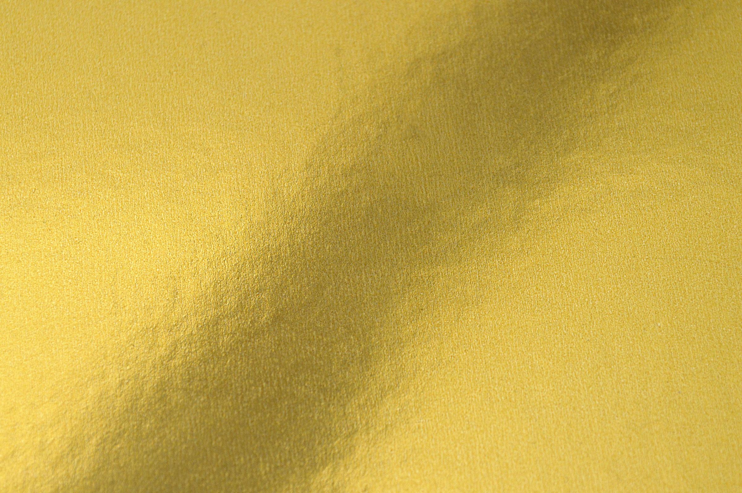 Student Shout Out  Banner Photo