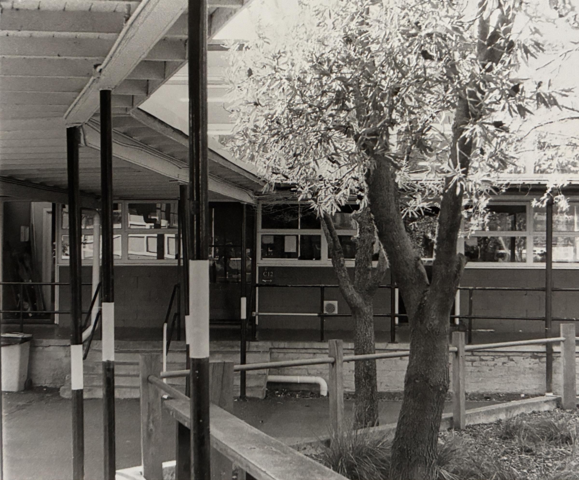 Year 10 Photography Banner Photo