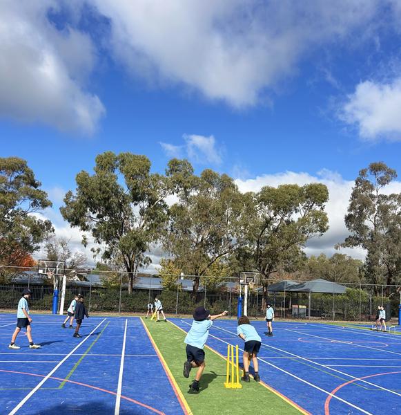 PDHPE Banner Photo