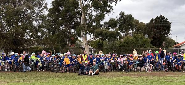 La Vuelta de Newlands Banner Photo